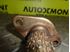 028131521R 028131521AJ - Trubka spojovacia