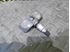 Senzor tlaku v pneumatikách 4F0907275 4F0907275B 4F0907275D 7PP907275F - Audi A6 C6 4F 2006 Avant Quattro 3.0 TDI 165 kW BMK HVE